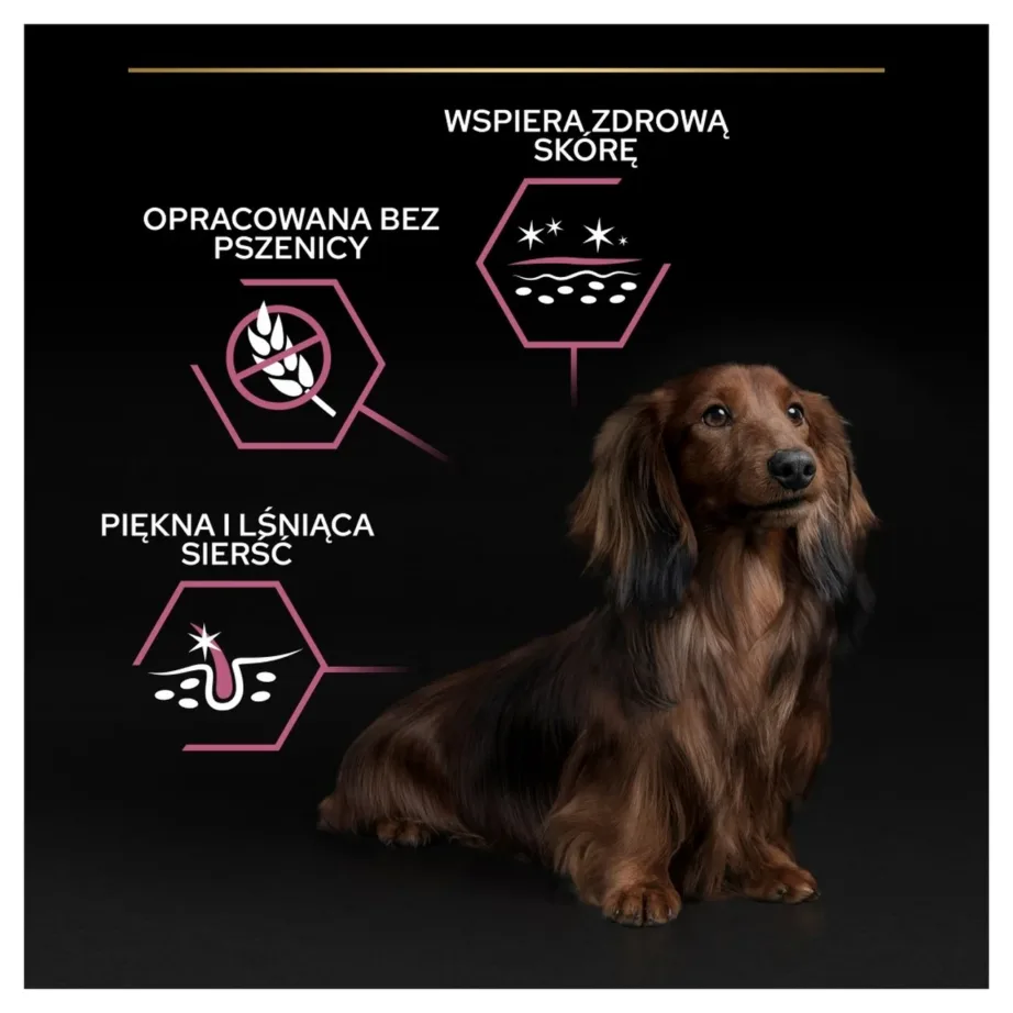 PURINA Pro Plan Sensitive Skin Small & Mini Adult Salmon – dry dog food – 700g – 2