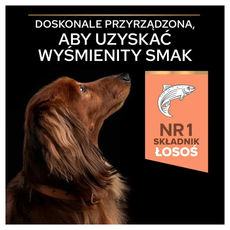 PURINA Pro Plan Sensitive Skin Small & Mini Adult Salmon – dry dog food – 700g – 3