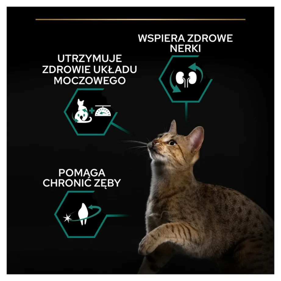 PURINA Pro Plan Sterilised Renal Turkey – dry cat food – 400g – 3