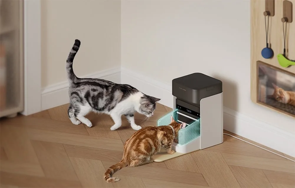 Kausi kaas avaneb vaid määratud lemmikule (RFID‑tuvastus)