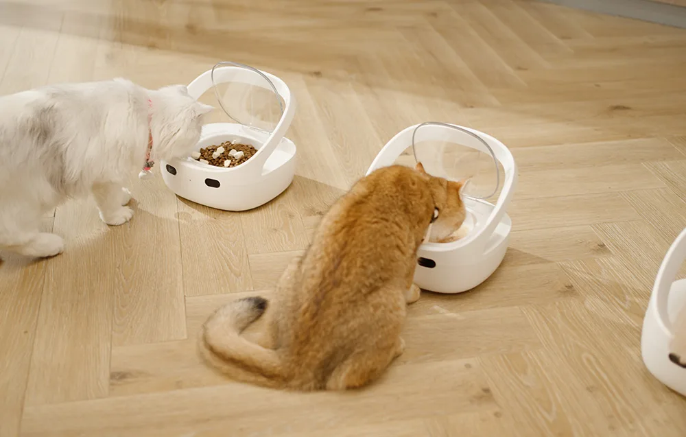 Kaks kassi eraldi automaatsetel kaussidel – näide anduri- ja RFID‑režiimidest.