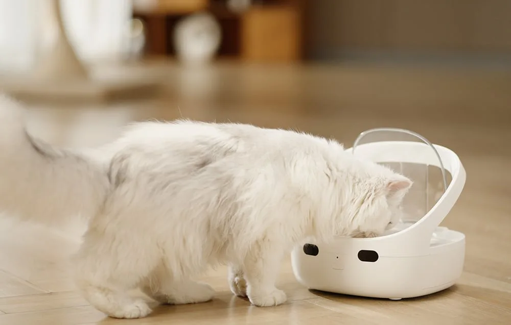 RFID toidukauss kassile jahutusega hoiab toidu värskena õhukindla kaanega.