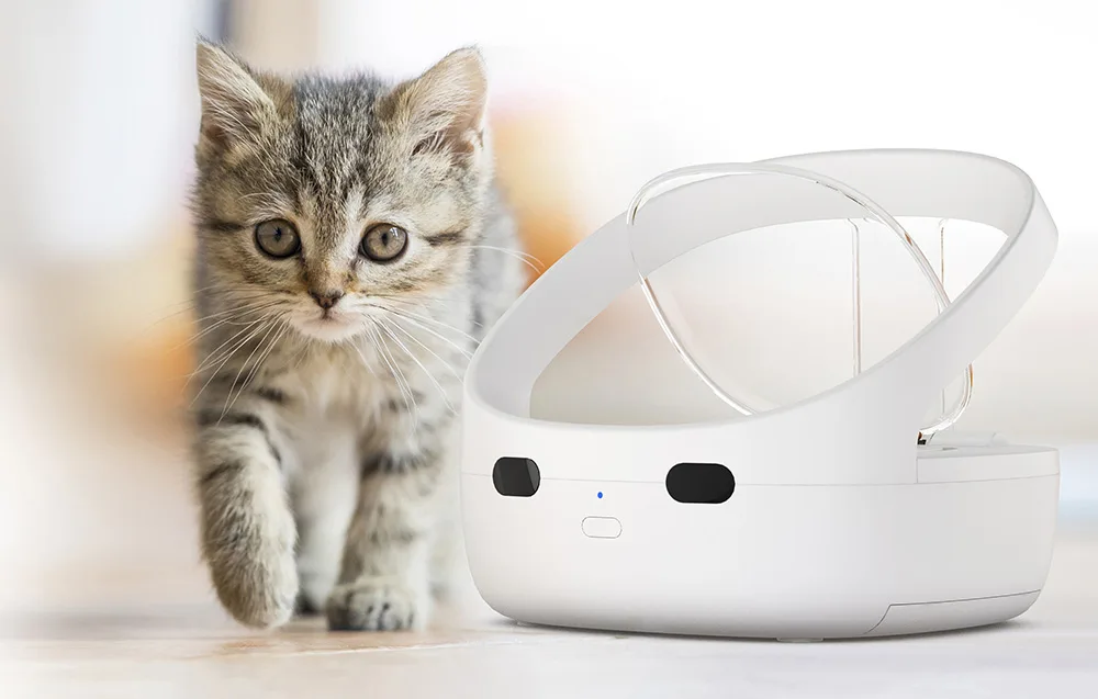 Avanenud kaas õige lemmiku tuvastusel; kasutust saab jälgida rakenduses.