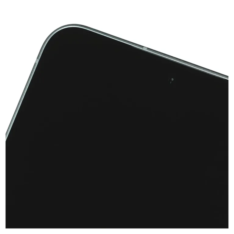 Samsung Galaxy S25 5G 6,2