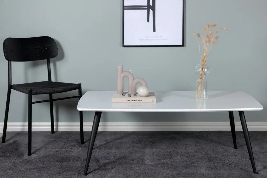 Plaza valge diivanilaud mustade jalgadega, 120×70 cm, 27960-468 – 4