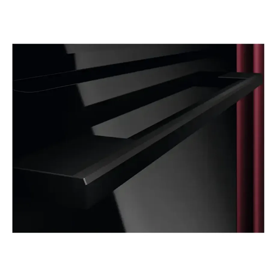 Integreeritav elektriahi SurroundCook Aqua Cleaning AEG NBU5A21SB, 72 L, A+, 60 cm, must klaasesipaneel, PIPO ja puutejuhtimine, 34 programmi, pöördkuumutus, teleskoopsiini 1 tase – 5