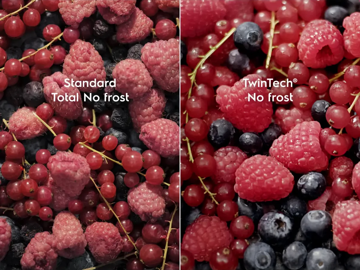 TwinTech No Frost topeltjahutussüsteem külmikus ja sügavkülmas