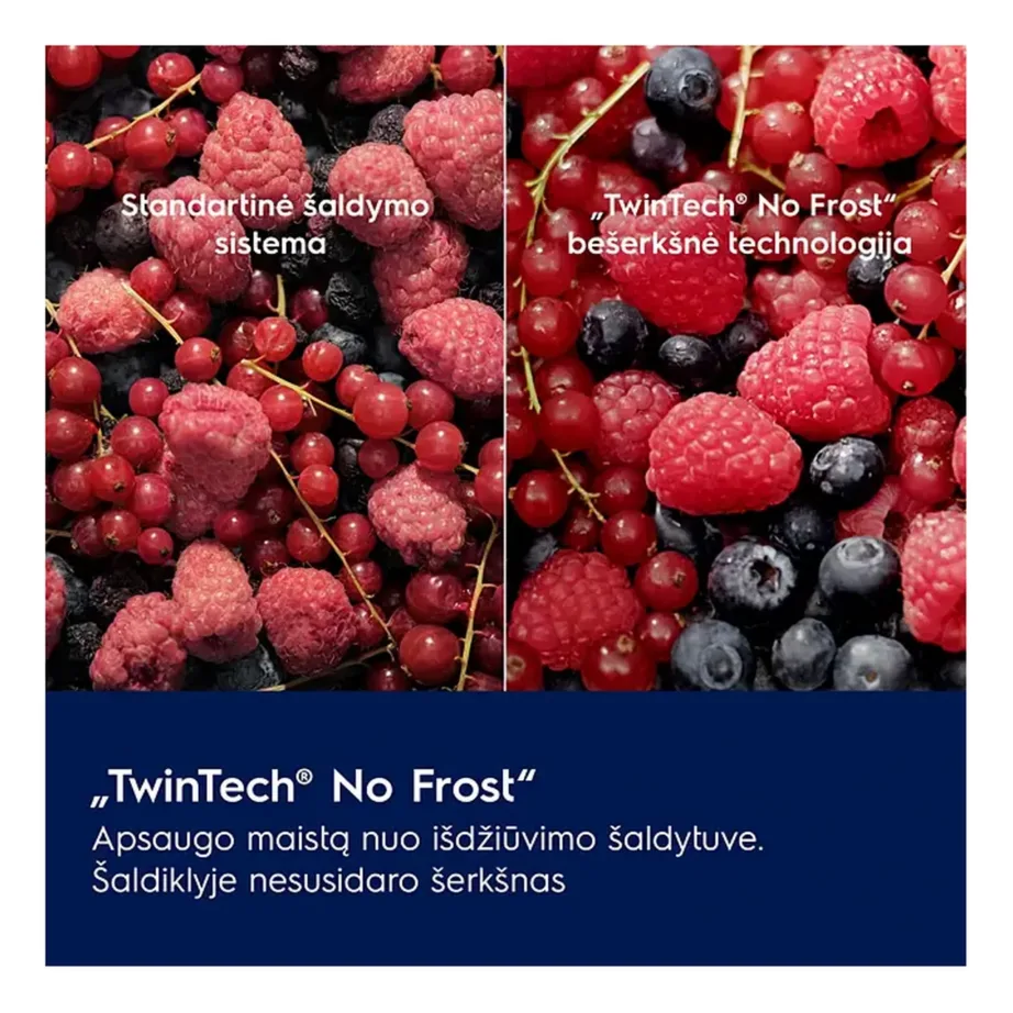 Integreeritav No Frost külmik sügavkülmaga Electrolux ENT6MD19S3, 60 cm, 207+62 L, TwinTech, MultiFlow, Extra Chill sahtel, CustomFlex ukseriiulid, 34 dB, energiaklass D, liughinged – 4