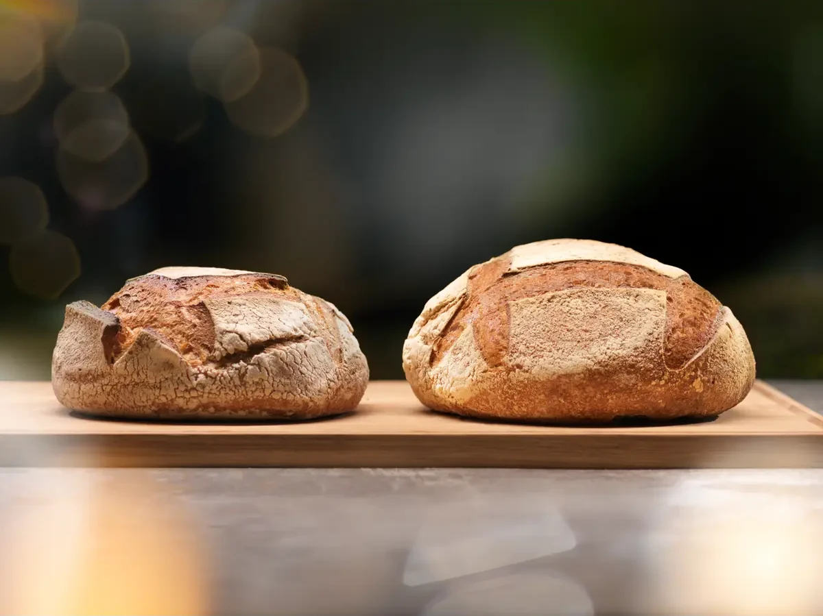 Electrolux SteamBake funktsioon paremate küpsetiste tulemuste jaoks