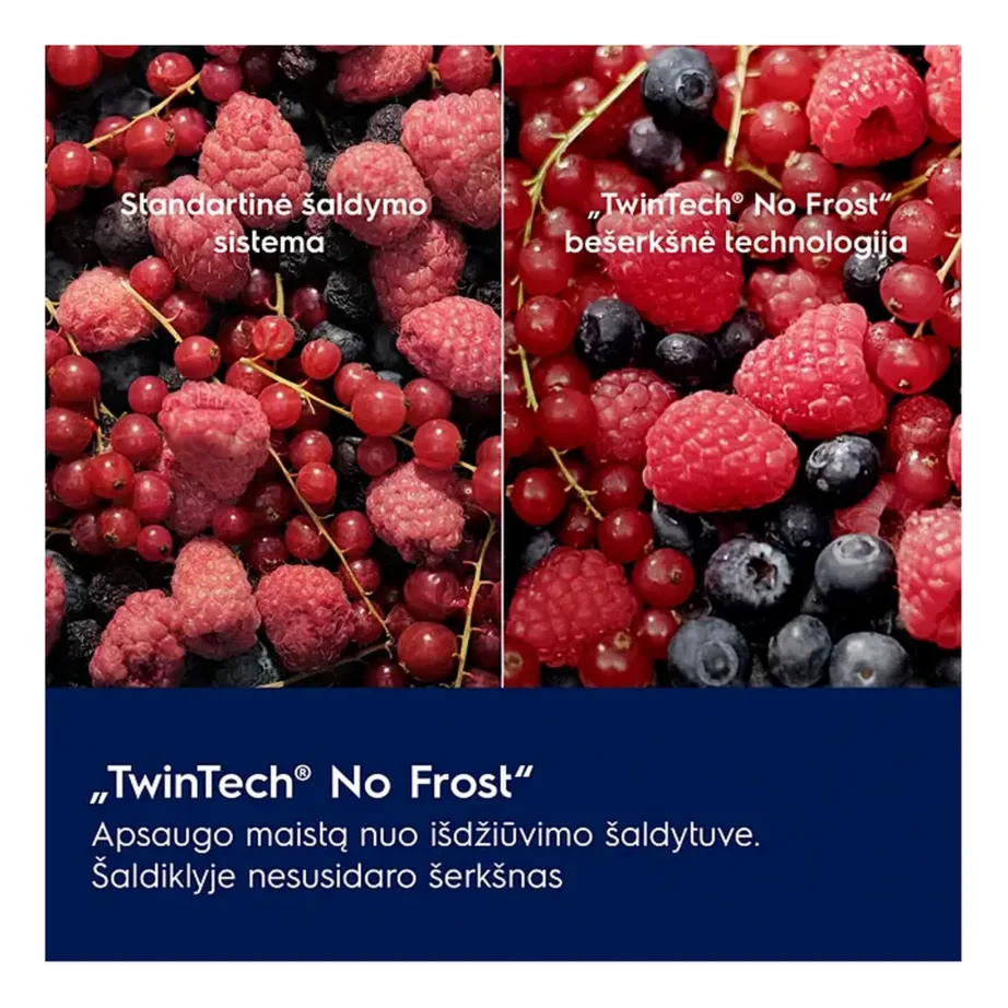 Integreeritav No Frost külmik-sügavkülmik Electrolux LNS9TE19S, 213/60 l, inverterkompressor, liughinged, DynamicAir, 190×60 cm kapp, LED-valgustus, 36 dB, E-kl - 3