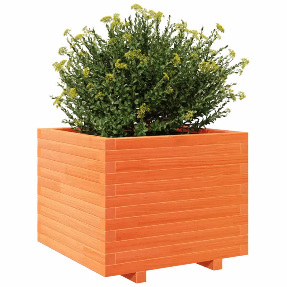 Aia taimekast männipuidust, vahapruun, 60 x 60 x 49,5 cm – 4
