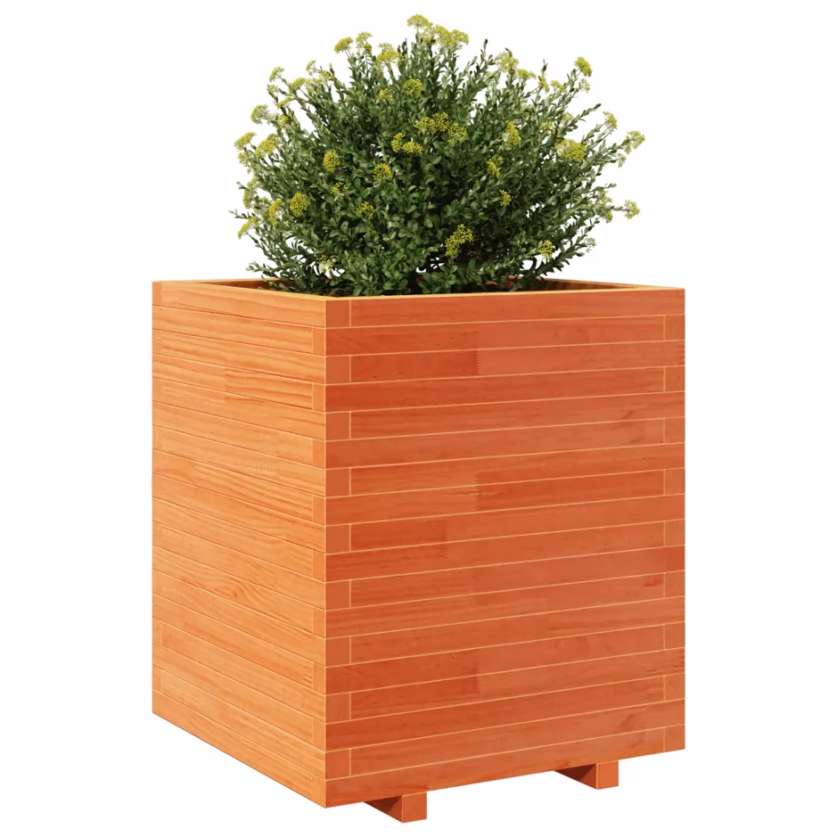 Aia taimekast vahapruunist männipuidust, 60 x 60 x 72,5 cm – 4