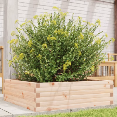 Aia taimekast töötlemata männipuidust, 80 x 80 x 23 cm