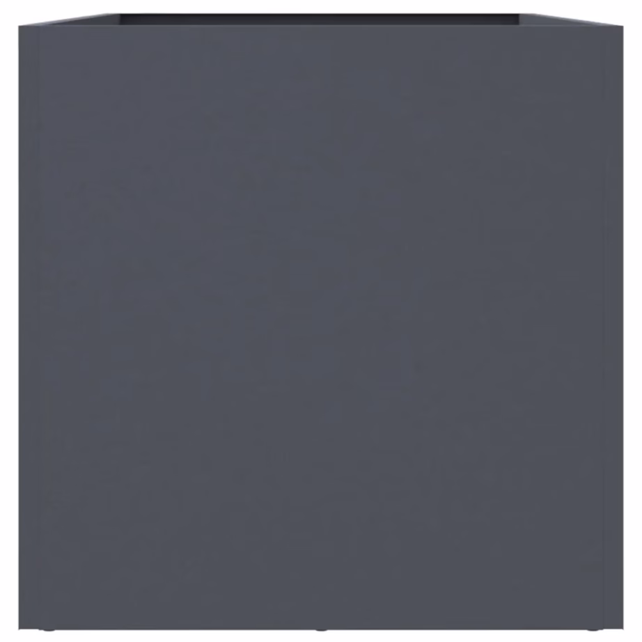 Antratsiithall terasest taimekast, külmvaltsitud teras, 62 x 30 x 29 cm – 6