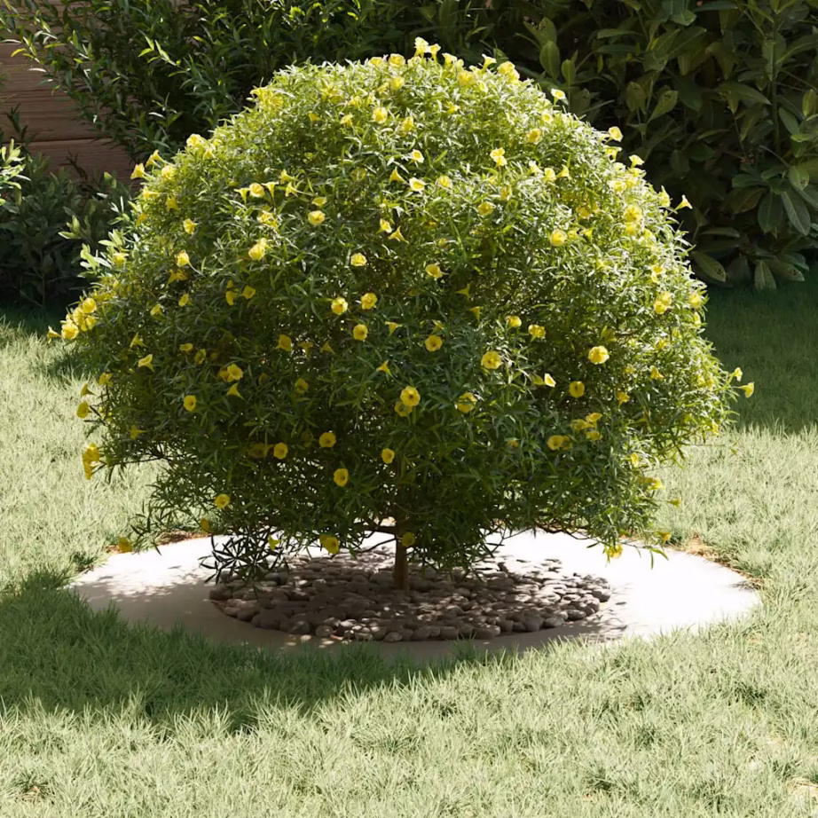 Lame dekoratiivne puurõngas puudele, 5 tk, valge teras, Ø40/70 cm, 70 x 70 cm – 3