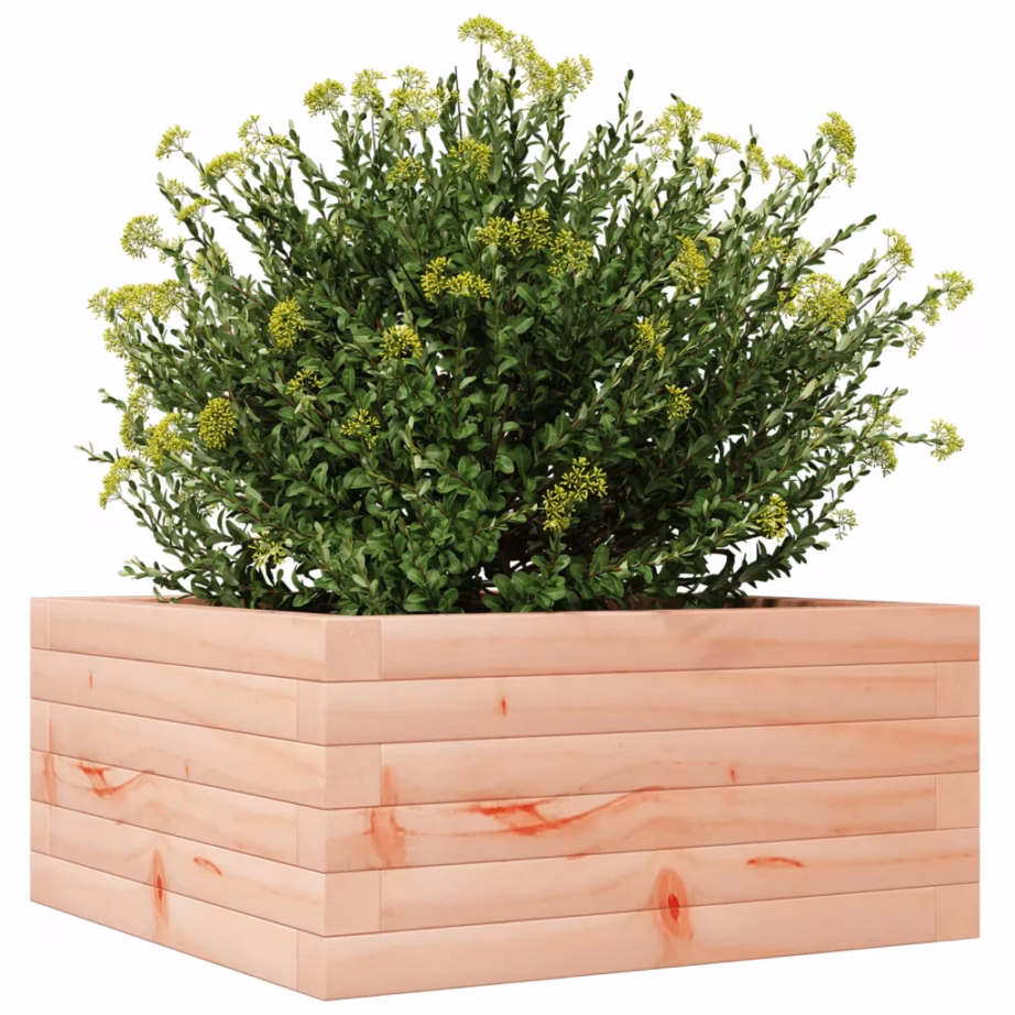 Ebatsuugapuidust aia taimekast avatud põhjaga, pruun, 50 x 50 x 23 cm – 4