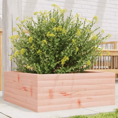 Aia taimekast avatud põhjaga, töötlemata ebatsuugapuit, 60 x 60 x 23 cm