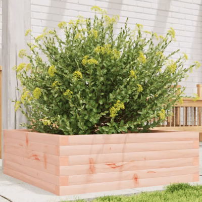 Ebatsuugapuidust aia taimekast, 70 x 70 x 23 cm