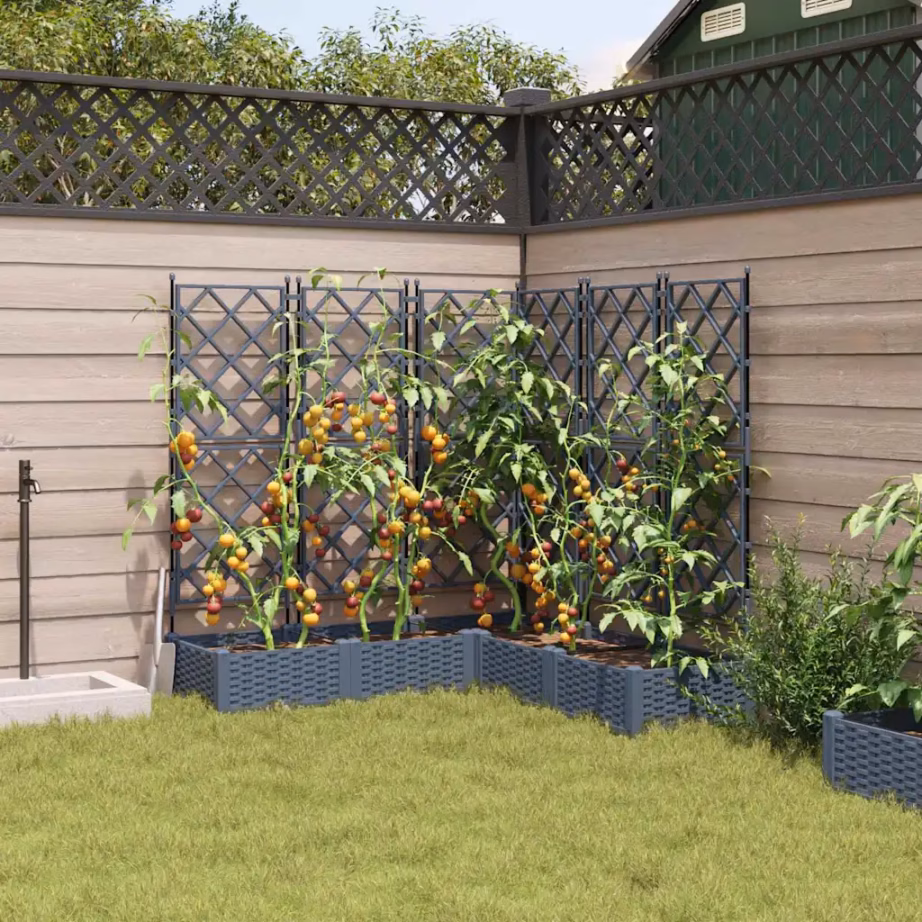 Aia istutuskastid trelliseintega, 5 tk, helehall teras, 120 x 120 x 125,5 cm – 3