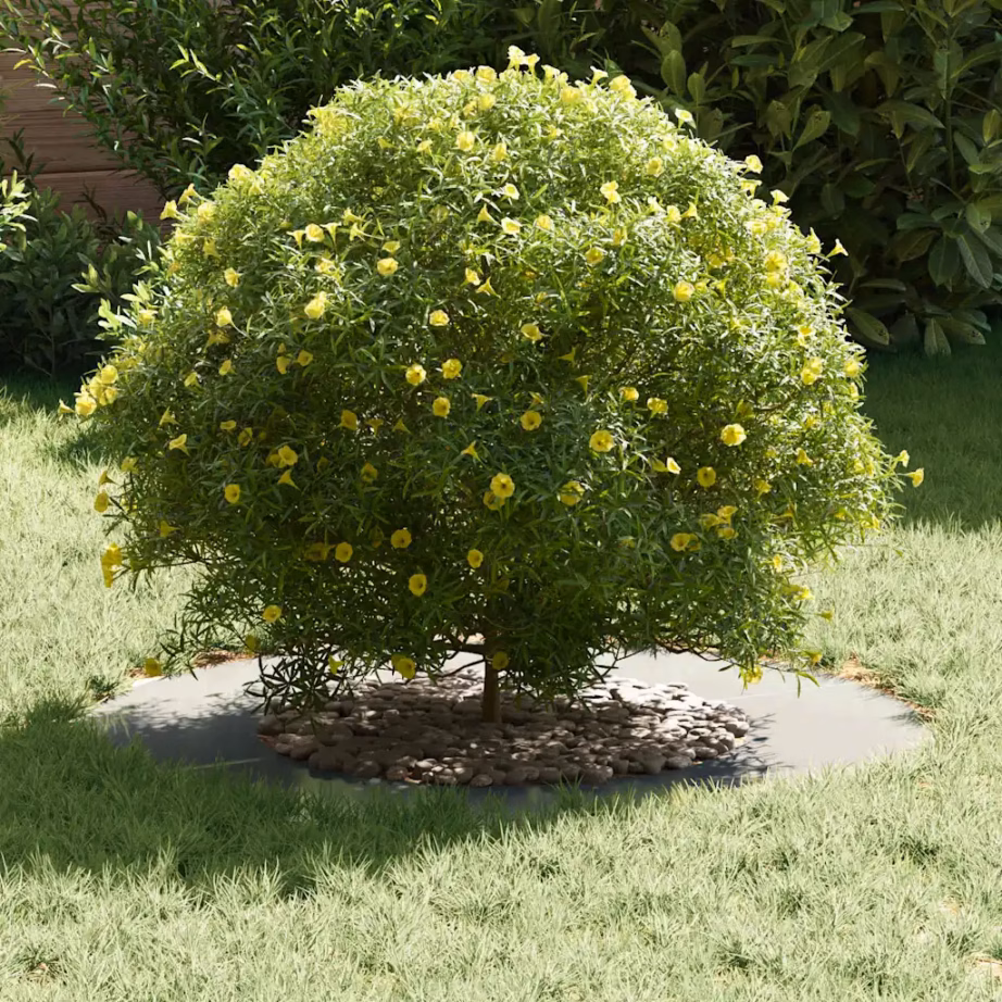 Lame dekoratiivne puuring puu aluse kaitseks, hõbedane tsingitud teras, Ø40/70 cm, 70 x 70 cm – 3