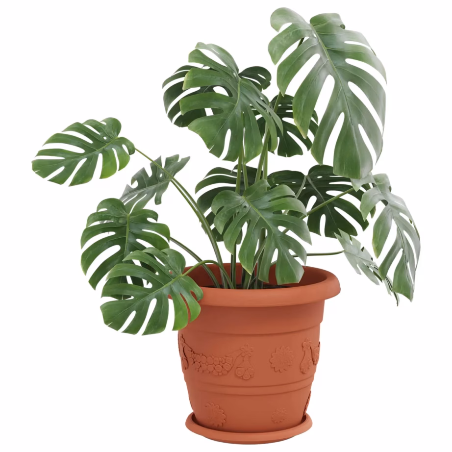 Plastist taimepotid äravooluavadega, kohviroosa, 6 tk, Ø 26 x 21,5 cm – 3