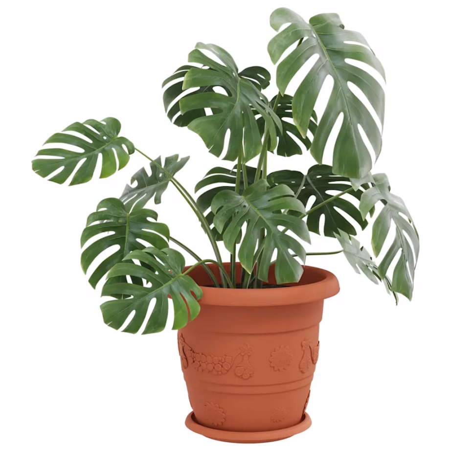 Ümmargused plastmassist lillealused, kohviroosad, 6 tk, Ø 23,5 x 2,5 cm – 3