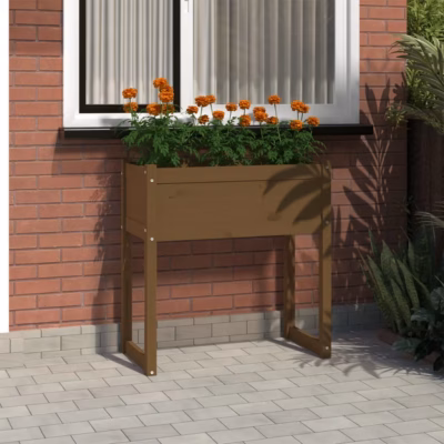 Kõrge taimekast meekarva männipuidust, 78 x 40 x 81 cm