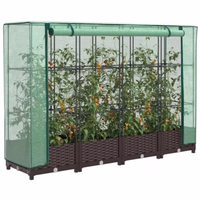 Kõrgendatud taimekast kasvuhoonekattega, rotangijäljendiga, pruun, 160 x 40 x 123 cm