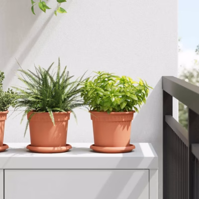 Ringikujuline lilletaldrikute komplekt, kohviroosa, plastmass, 24 tk, Ø 14 x 2 cm