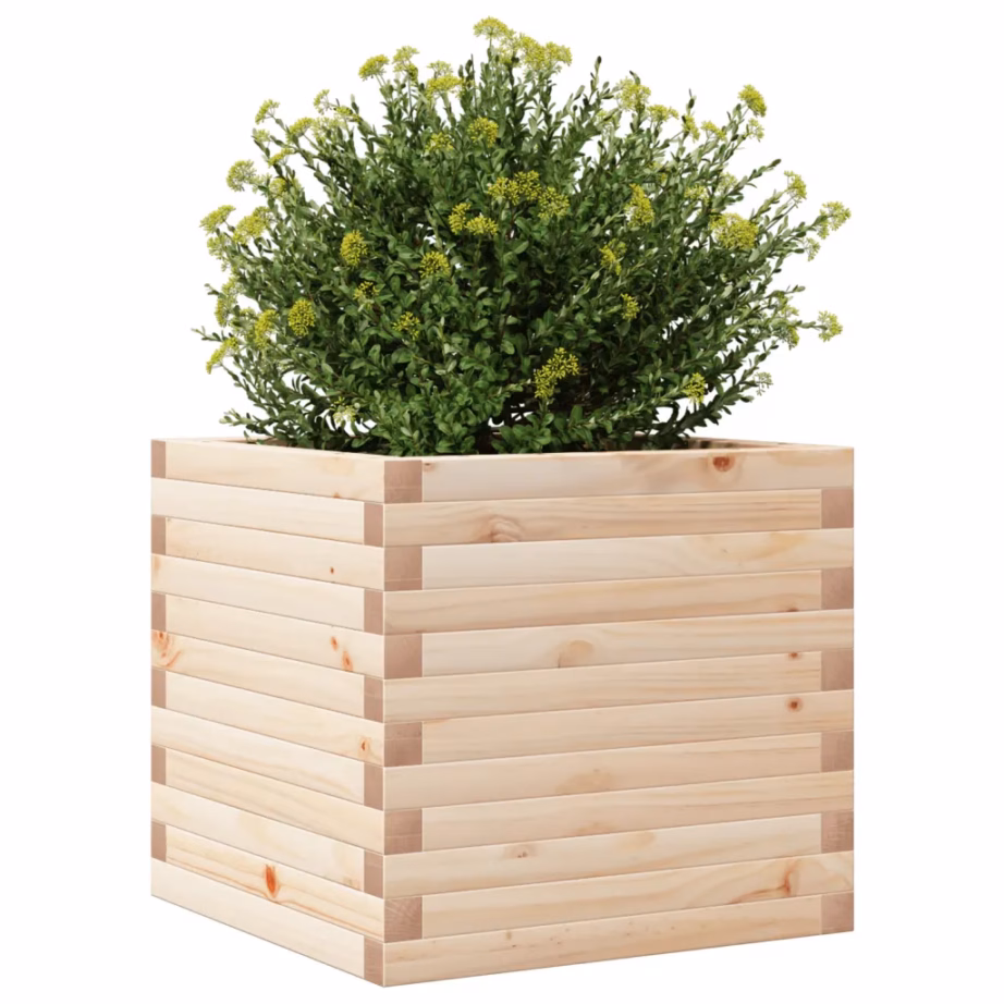 Töötlemata männipuidust aia taimekast, 50 x 50 x 45,5 cm – 4
