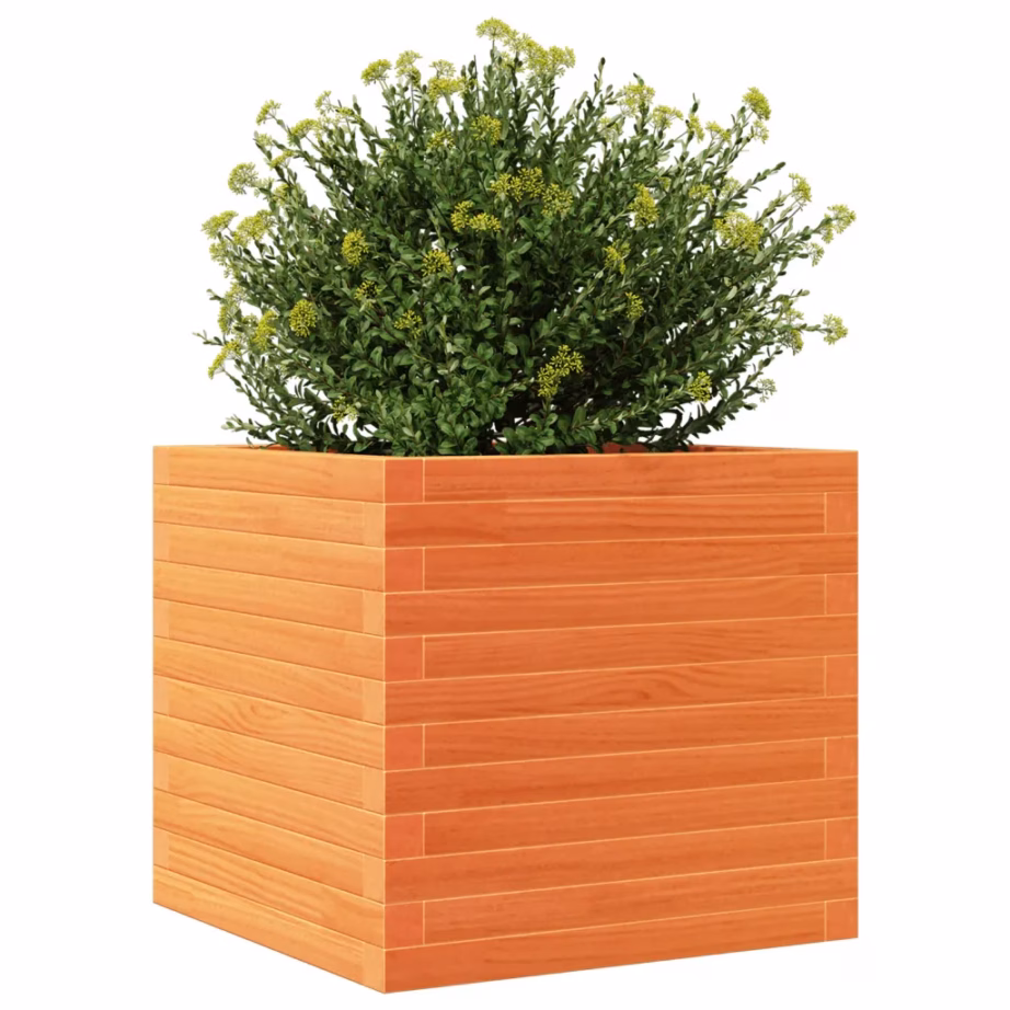 Aia taimekast männipuidust, vahapruun, 50 x 50 x 46 cm – 4