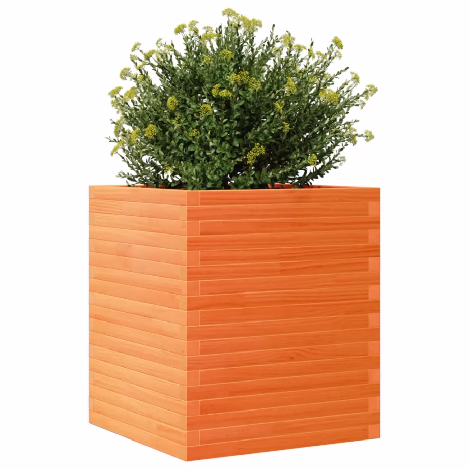 Aia taimekast, vahapruun männipuidust, 60 x 60 x 68,5 cm – 4