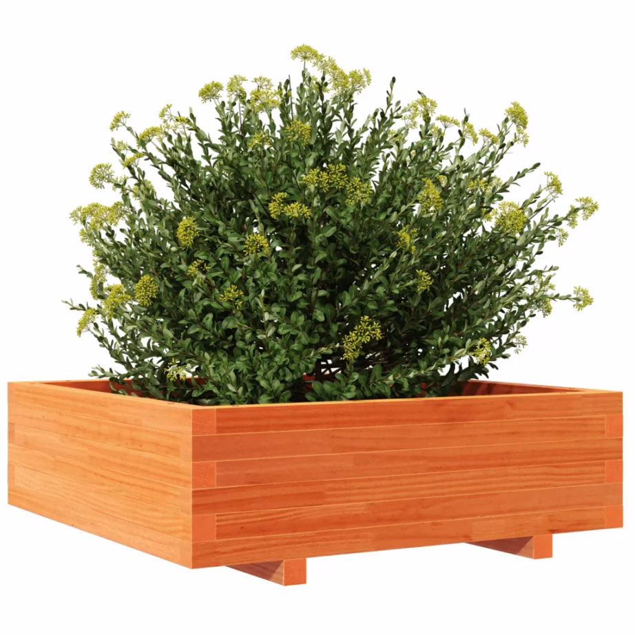 Männipuidust aia taimekast, vahapruun, 80 x 80 x 26,5 cm – 4