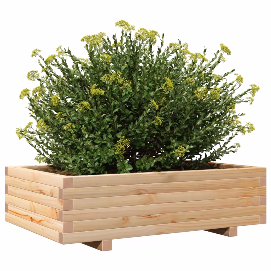 Männipuidust aia taimekast, töötlemata, 90 x 60 x 26,5 cm – 4