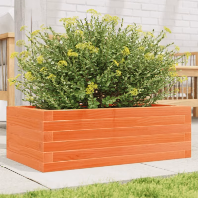 Aia taimekast avatud põhjaga, vahapruun männipuit, 70 x 40 x 23 cm