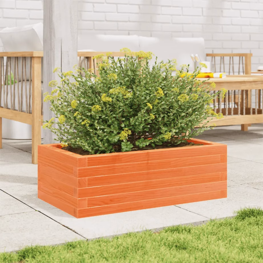 Aia taimekast avatud põhjaga, vahapruun männipuit, 70 x 40 x 23 cm – 3