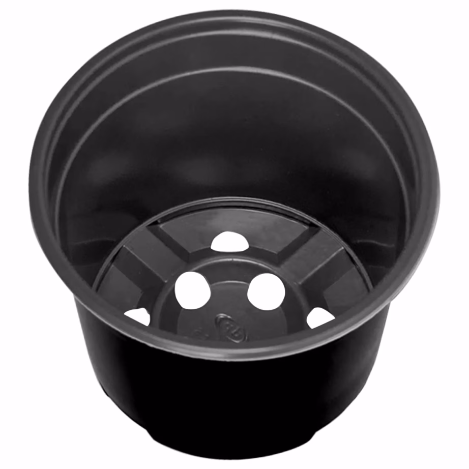 Plastikust lillepotid drenaažiavadega, 50 tk, must, Ø 15 x 12,5 cm – 6