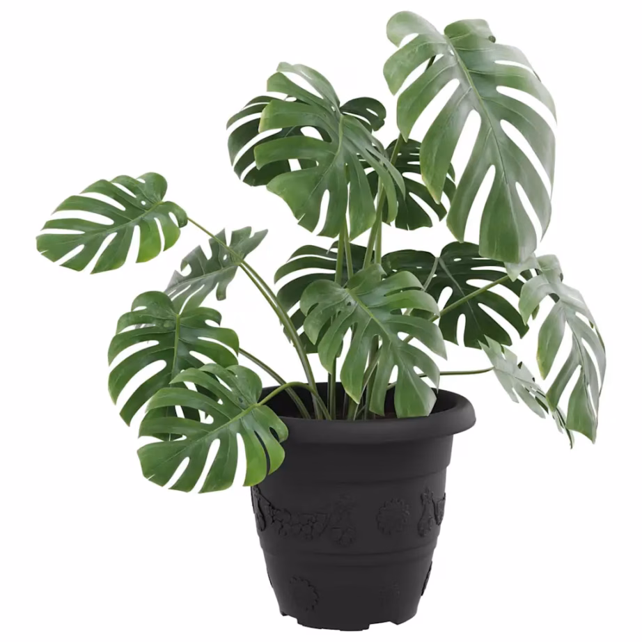 Ümmargused plastlillepotid äravooluavadega, 24 tk, must, Ø 26 x 21,5 cm – 3