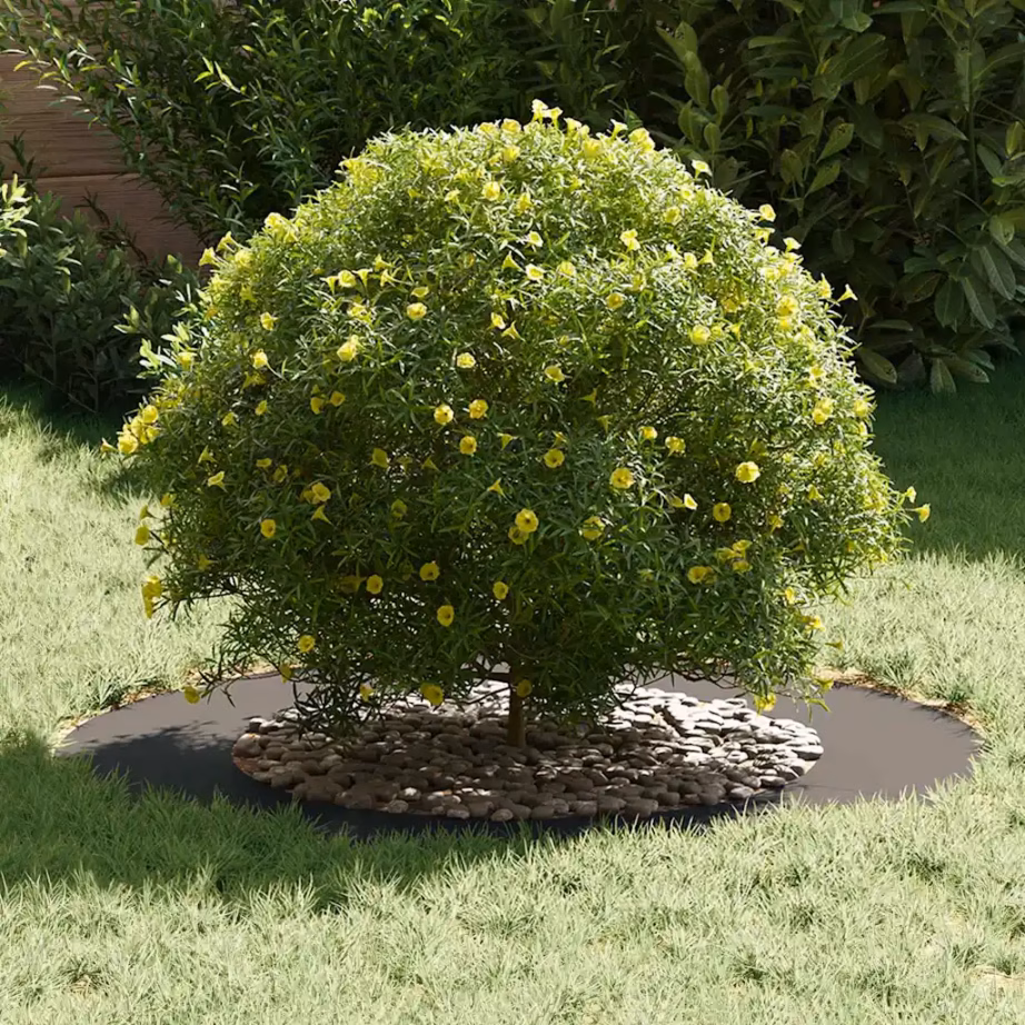 Lamedad dekoratiivsed puurõngad 5 tk, must teras, Ø50/80 cm – 3