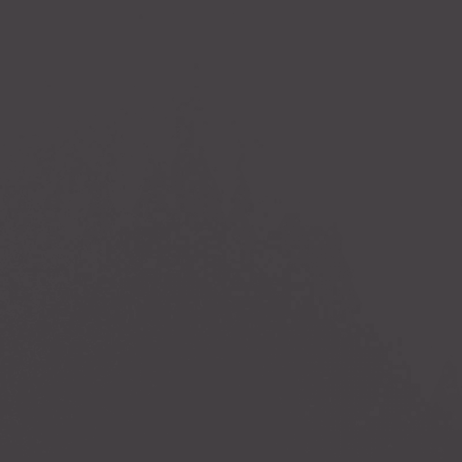 Mustad taimekastid külmvaltsitud terasest, 2 tk, 49 x 47 x 46 cm – 10