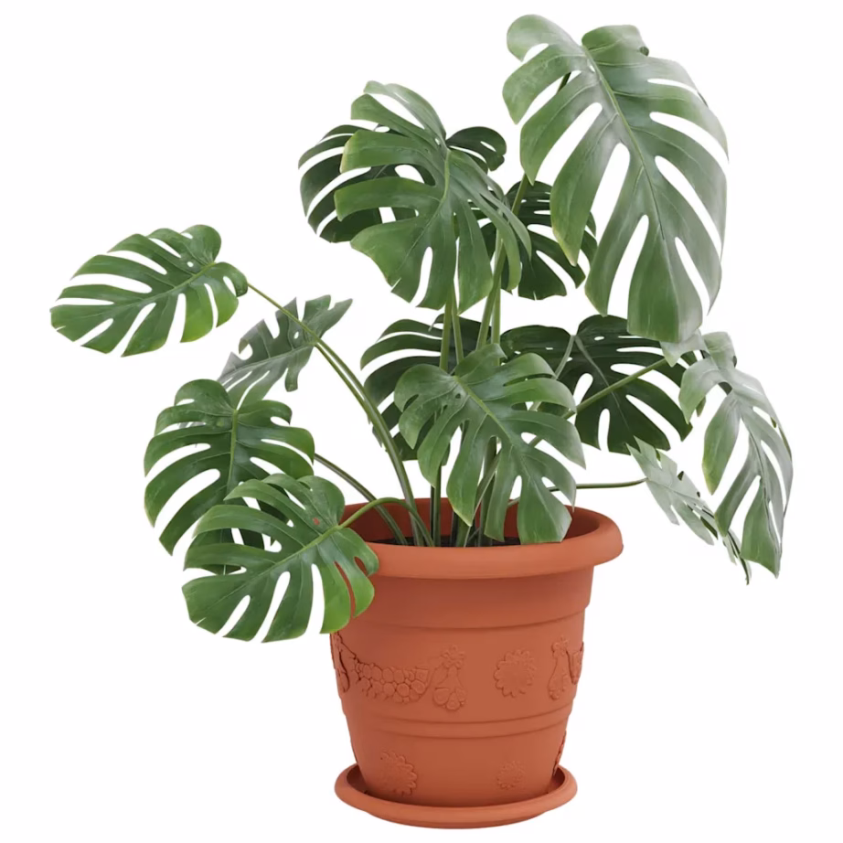 Ümmargused plastist lillealused, 6 tk, kohviroosa, Ø 19 x 2 cm – 3