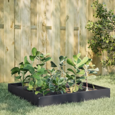 Kõrgendatud aia taimelava, antratsiithall teras, 100 x 100 x 26 cm