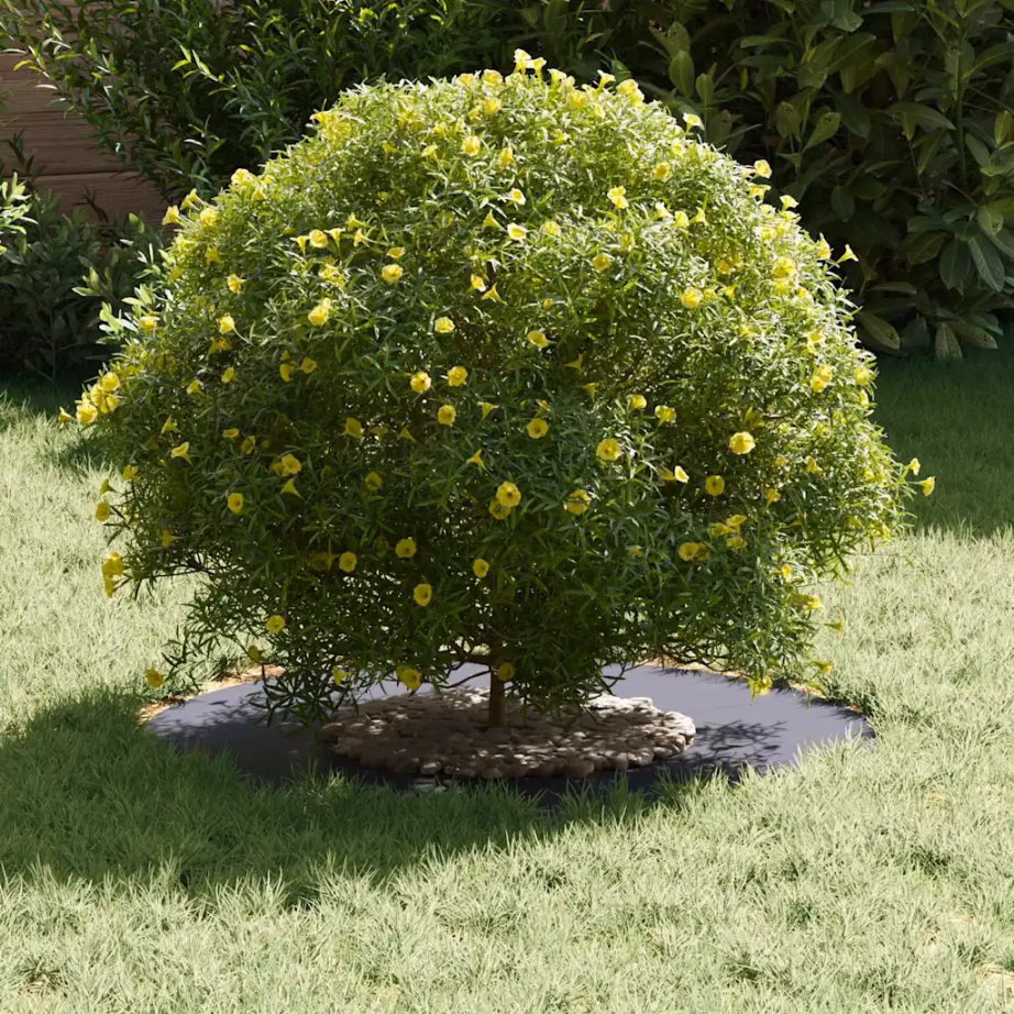 Lame terasest puuring, antratsiit, Ø30/60 cm, 60 x 60 cm – 3