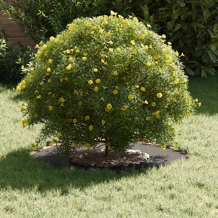 Lamedad terasest puutüverõngad, 5 tk, must, Ø30/60 cm – 3