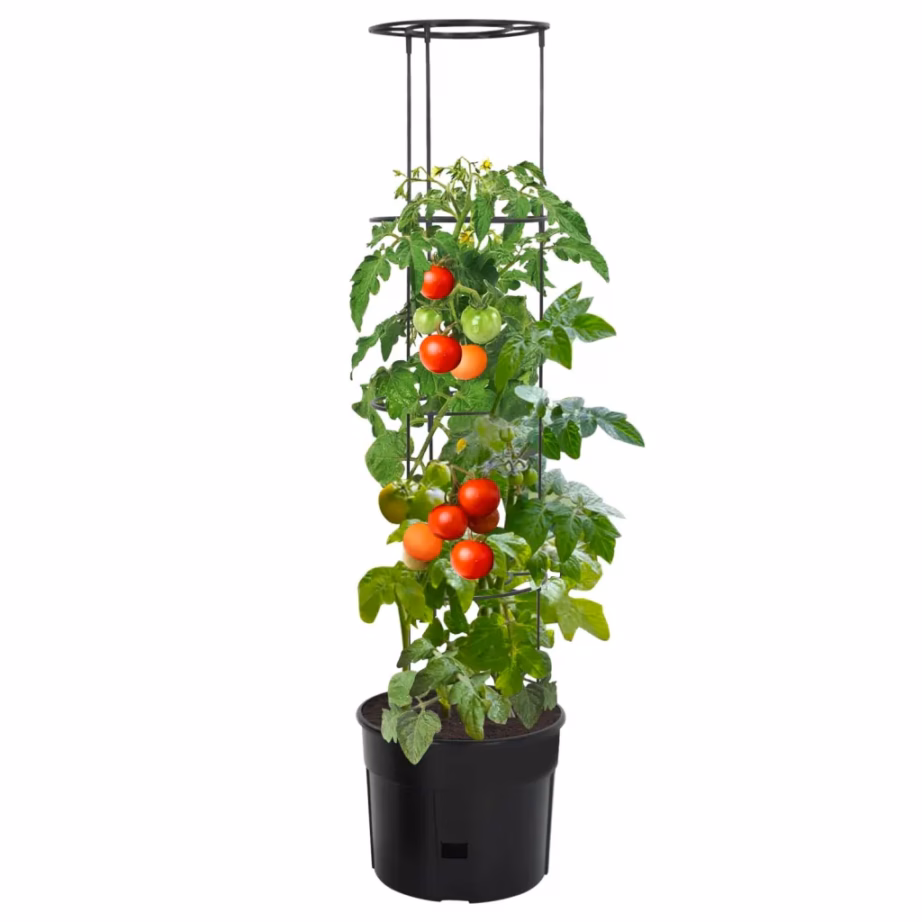 Tomatitaime kasvupott tugiraamiga, antratsiithall, Ø 39 x 150 cm, polüpropüleen – 2
