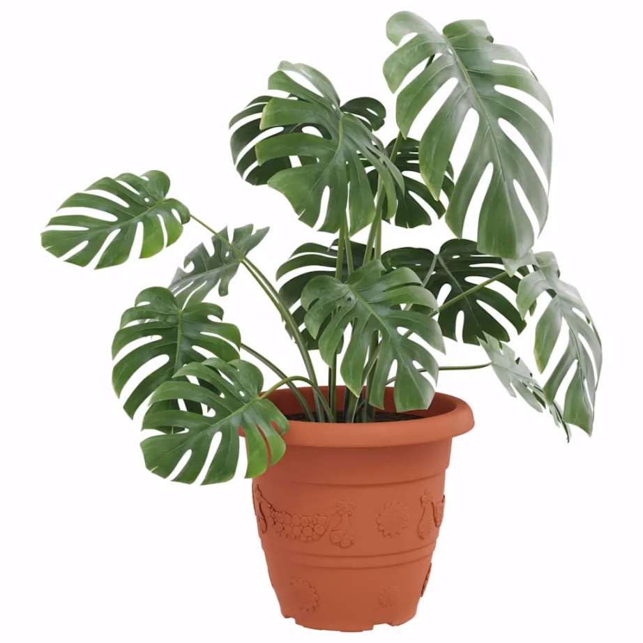 Ümmargune plastist lillepoti komplekt, kohviroosa, 6 tk, Ø 26 x 21,5 cm – 3