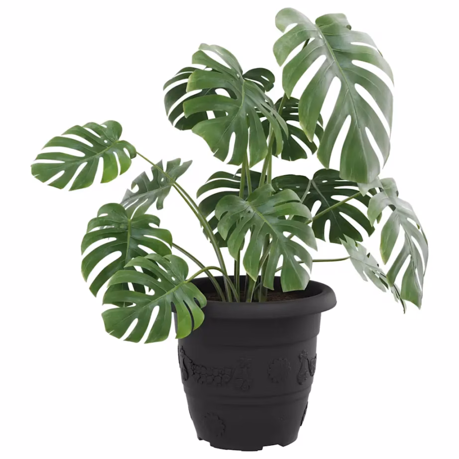 Ümmargune plastist lillepott rullitud servaga, 24 tk, must, Ø 26 x 21,5 cm – 3