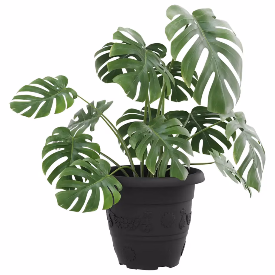 Ümmargune plastist lillepott äravooluavadega, must, Ø 26 x 21,5 cm, 24 tk – 3