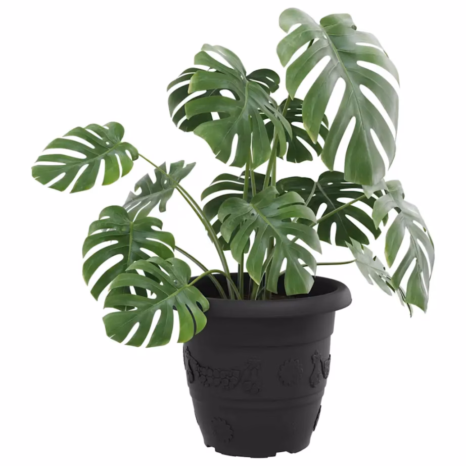 Ümmargune plastlillepott äravooluavadega, 6 tk, must, Ø 26 x 21,5 cm – 3