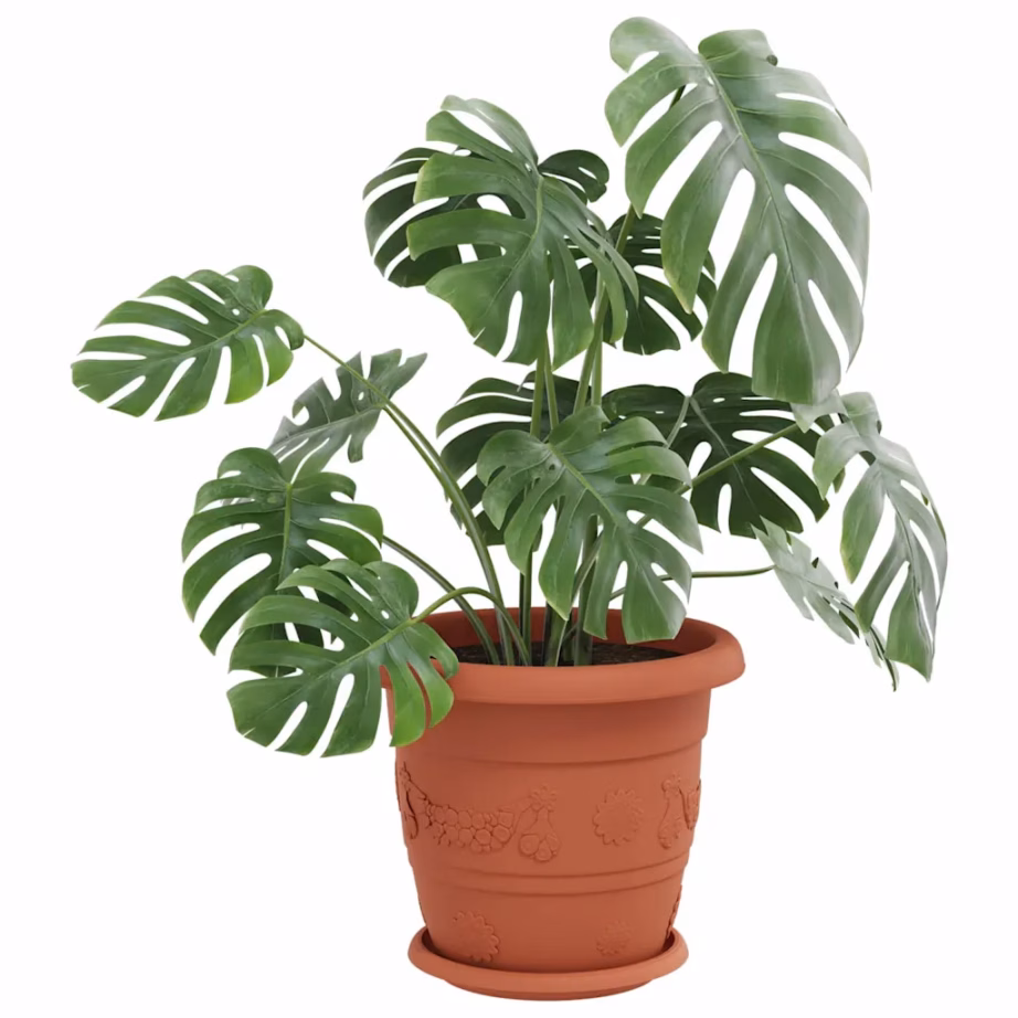 Ümmargused lillealused 6 tk, kohviroosa plastmass, Ø 21,5 cm – 3